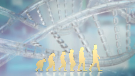 Human evolution image for education or sci concept 3d renderingの写真素材