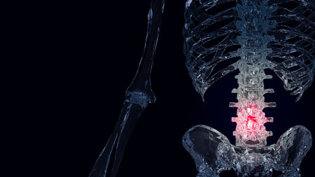 Backache, also known as back pain, is a common medical condition that affects the muscles, bones, nerves, or other structures in the back. It can occur anywhere in the back, from the neck to the tailbone, and can range from mild to severe.の写真素材