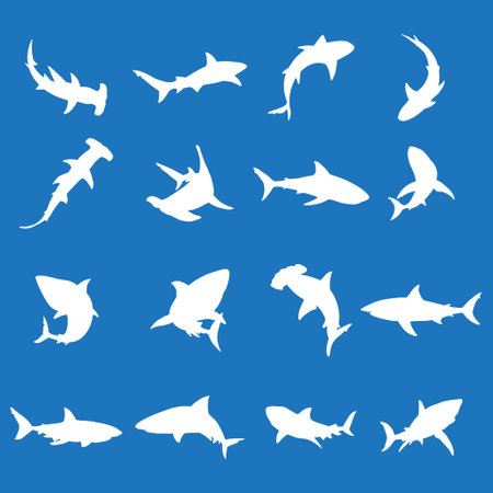 Sharks are a diverse group of cartilaginous fish known for their streamlined bodies, powerful jaws, and impressive hunting abilities. They are found in oceans aroundのイラスト素材