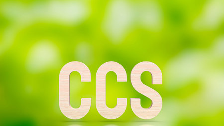 Carbon Capture and Storage (CCS): CCS is a technology aimed at reducing carbon dioxide (CO2)...