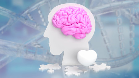 The brain is a complex and remarkable organ that serves as the central hub of the nervous system in...