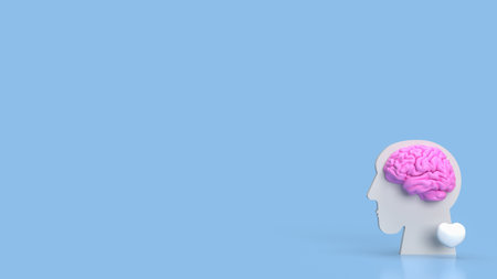 The brain is a complex and remarkable organ that serves as the central hub of the nervous system in most animals, including humans.の写真素材