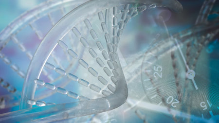 DNA, which stands for Deoxyribonucleic Acid, is a molecule that contains the genetic instructions for the development, functioning, growth, and reproduction of all known living organisms.の写真素材