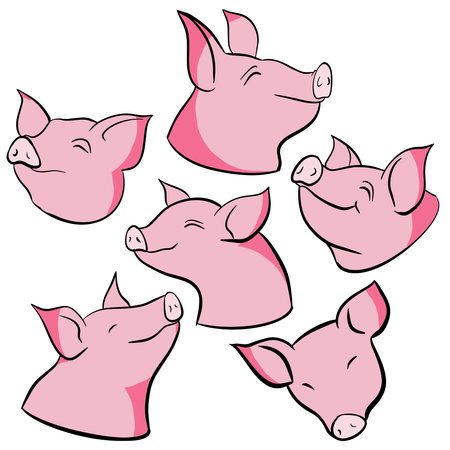 Pig cartoon style for food or animal conceptのイラスト素材
