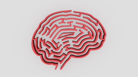 Red Brain maze on white background  3d rendering.の写真素材
