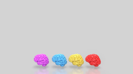 Brain multi color on white background  for education or sci concept 3d rendering.