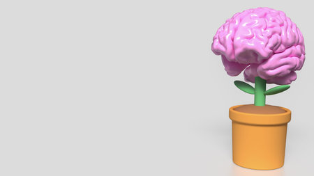 Brain tree in plant for Business or idea concept  3d Rendering.