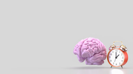Brain and clock for sci or health concept 3d Rendering.