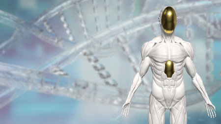 Humanoid for Technology and sci concept 3d Rendering.の写真素材