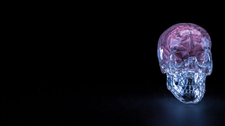 Crystal Skull and Brain for sci or medical concept 3d Rendering.