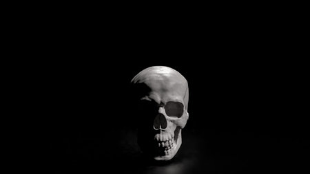 Skull on Black Background for sci or medical concept 3d Rendering.