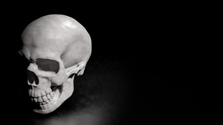Skull on Black Background for sci or medical concept 3d Rendering.の写真素材