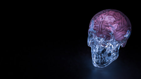 Crystal Skull and Brain for sci or medical concept 3d Rendering.の写真素材