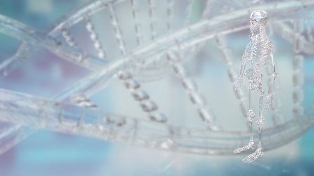 Crystal Skelton for Sci or education concept 3d Rendering.
