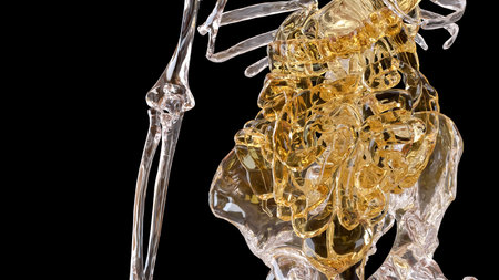 Skeleton and Viscera for Sci and medical concept 3d Rendering.