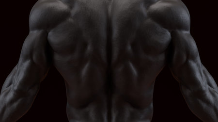 Human Body for Science or medical concept 3d Rendering.