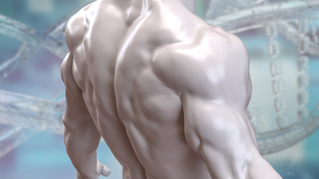 Human Body for Science or medical concept 3d Rendering.の写真素材