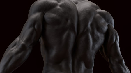 Human Body for Science or medical concept 3d Rendering.の写真素材