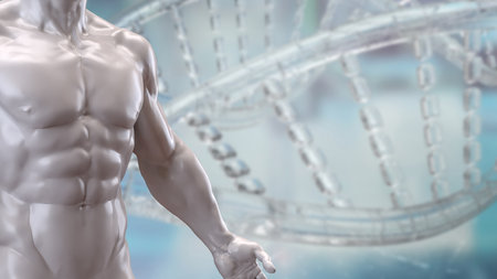 Human Body for Science or medical concept 3d Rendering.の写真素材