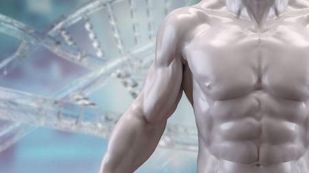 Human Body for Science or medical concept 3d Rendering.