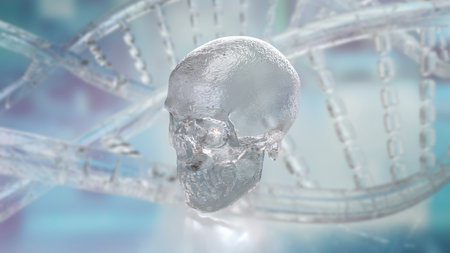 Skull for Education or Sci concept 3d Rendering.の写真素材