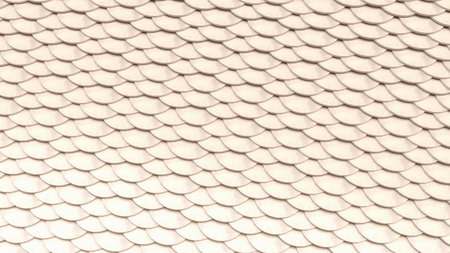 White scale for Abstract Background 3d Rendering.の写真素材