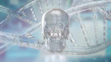 Skull for Education or Sci concept 3d Rendering.の写真素材