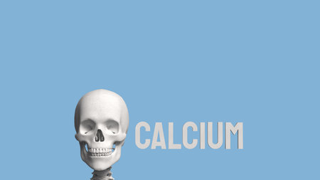 Skeleton on blue Background for calcium concept 3d Rendering.の写真素材