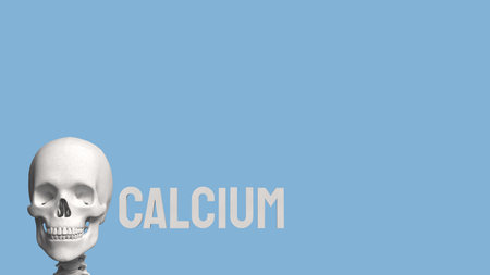 Skeleton on blue Background for calcium concept 3d Rendering.の写真素材