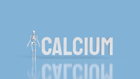Skeleton on blue Background for calcium concept 3d Rendering.