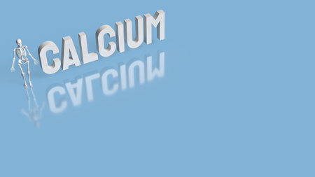 Skeleton on blue Background for calcium concept 3d Rendering.の写真素材