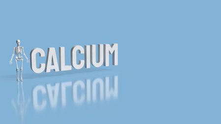 Skeleton on blue Background for calcium concept 3d Rendering.の写真素材