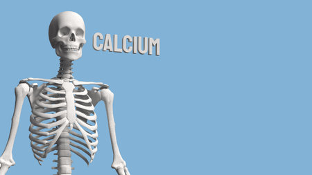 Skeleton on blue Background for calcium concept 3d Rendering.の写真素材