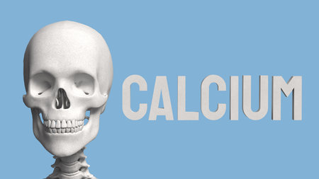 Skeleton on blue Background for calcium concept 3d Rendering.の写真素材