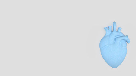 Blue human heart anatomy model isolated on clean background medical concept cardiovascular organ...