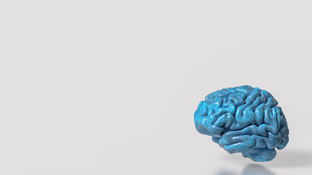 Glossy blue human brain model with sparkling texture on clean background for neuroscience psychology intelligence anatomy healthcare and medical education concept