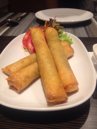 Salmon spring rollの素材