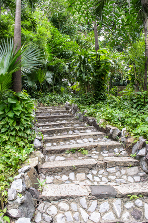 stone ladder to the gardenの写真素材