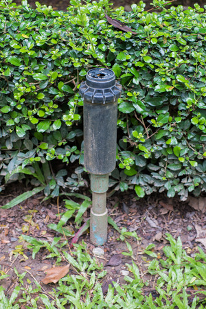 Close up popup sprinkler in the field の写真素材