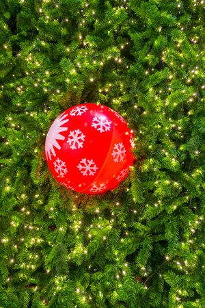 abstract of Christmas tree light for background の写真素材