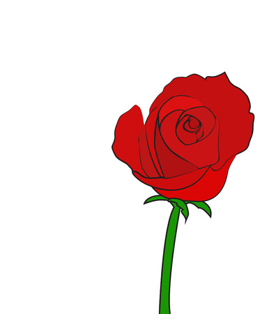 Single red rose vectorのイラスト素材