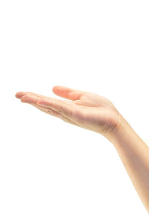 empty female open hand isolated on whiteの写真素材