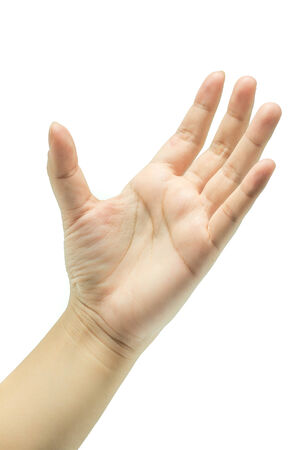 empty female open hand isolated on whiteの写真素材
