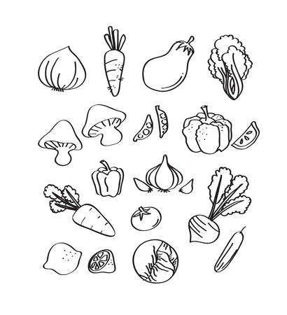 vegetable hand draw vectorのイラスト素材