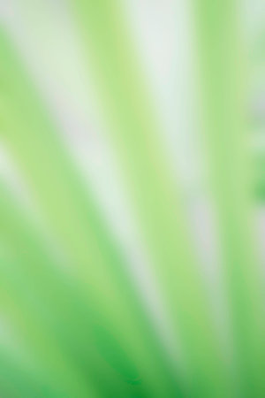 Abstract green backgroundの写真素材