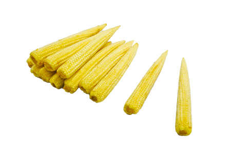 Fresh yellow baby corn for cooking on white background.の写真素材