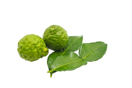Citrus hystrix with Kaffir lime with leaves on white background.の写真素材