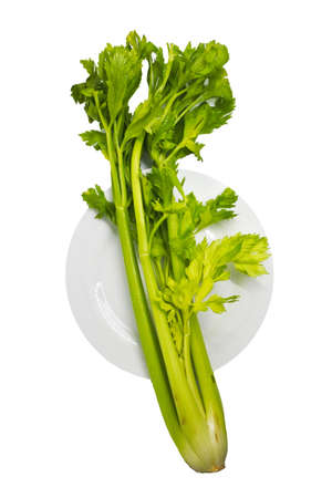 Green celery on with plate top view on white background.の写真素材