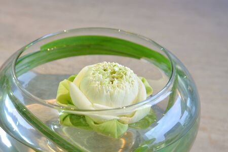 Modern lotus flower arrangement, Thailandの写真素材