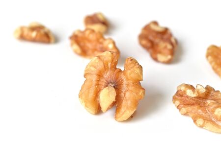 Walnut on white backgroundの写真素材